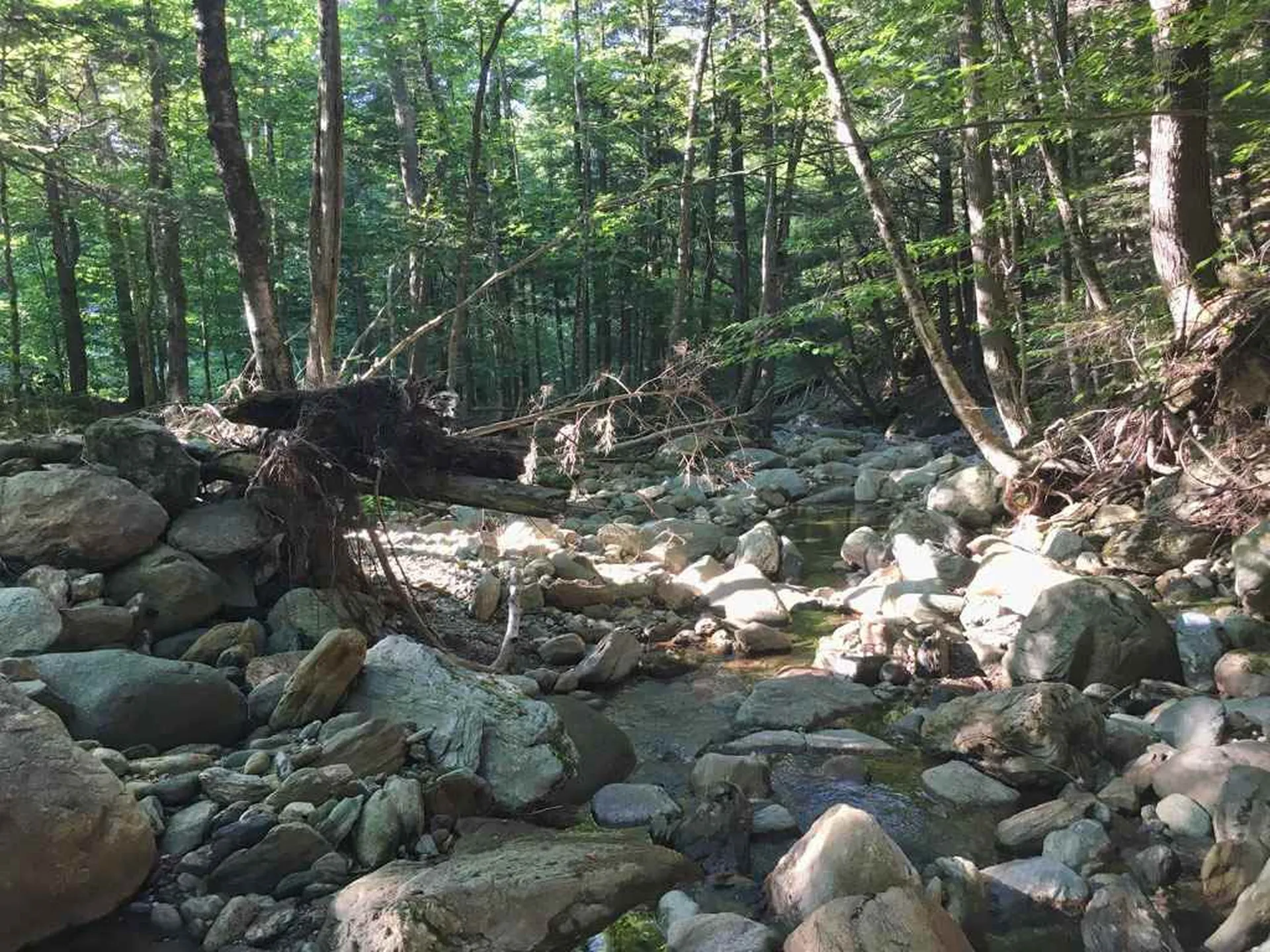 663 Carse Road Huntington VT 05462