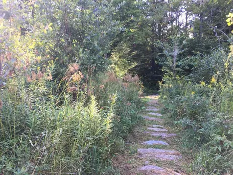 663 Carse Road Huntington VT 05462