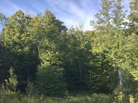 663 Carse Road Huntington VT 05462