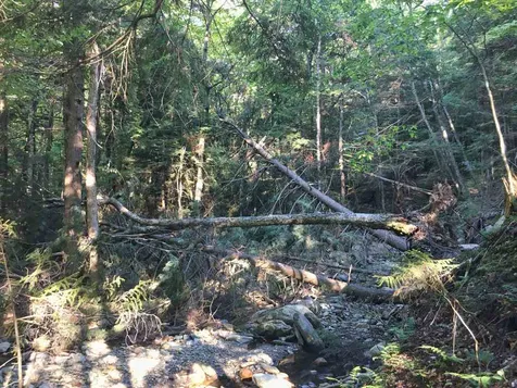663 Carse Road Huntington VT 05462
