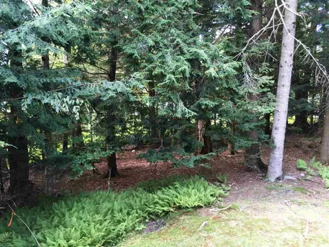 87 Mowing Way Wilmington VT 05363