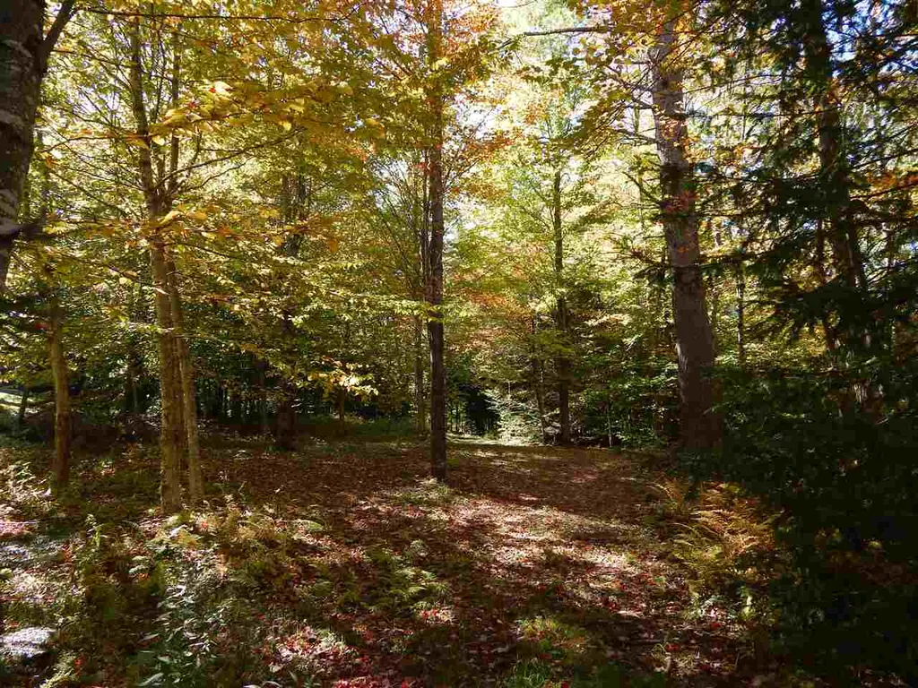Lot 12 Chalk Pond Road Newbury NH 03255