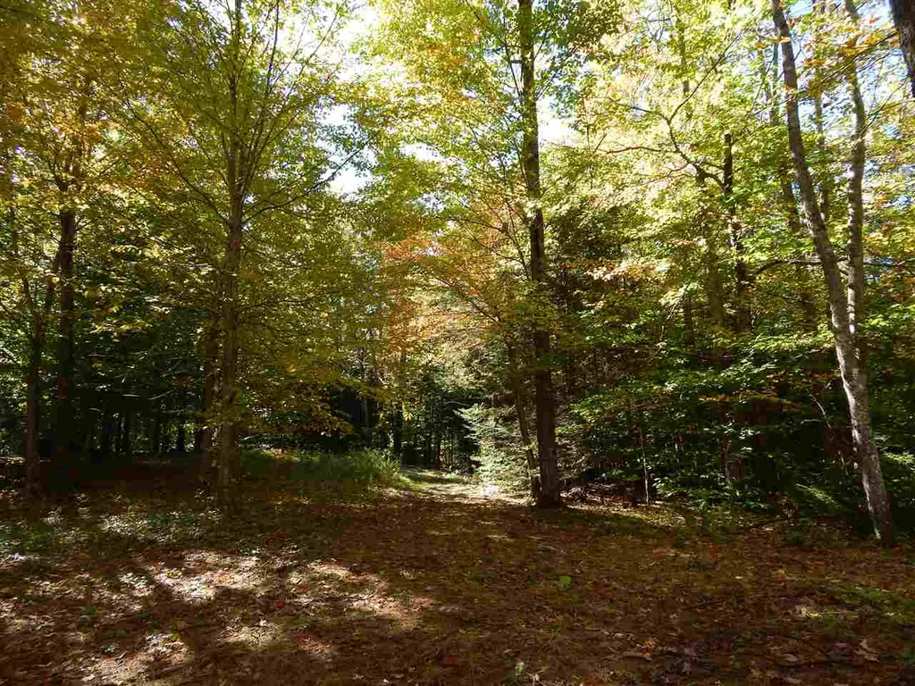 Lot 12 Chalk Pond Road Newbury NH 03255