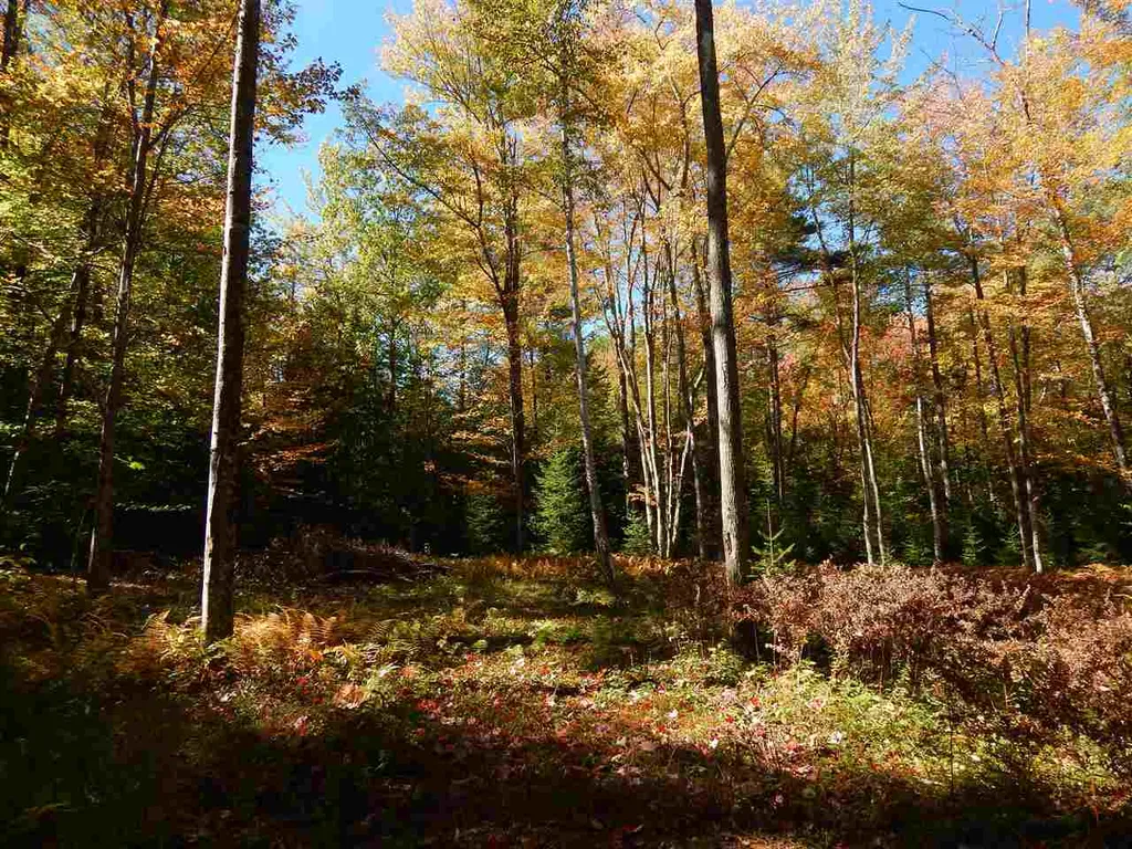 Lot 12 Chalk Pond Road Newbury NH 03255