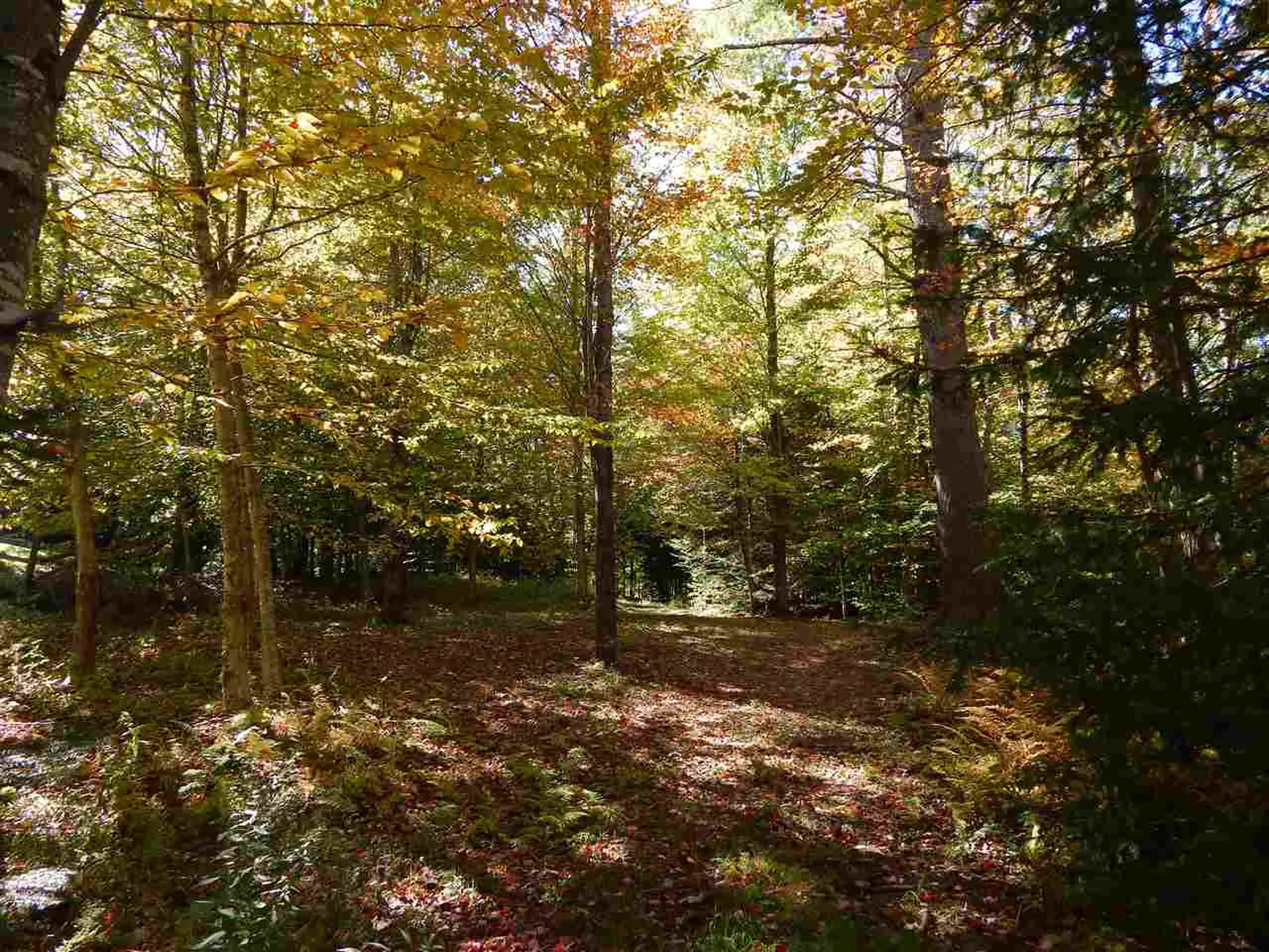 Lot 12 Chalk Pond Road Newbury NH 03255
