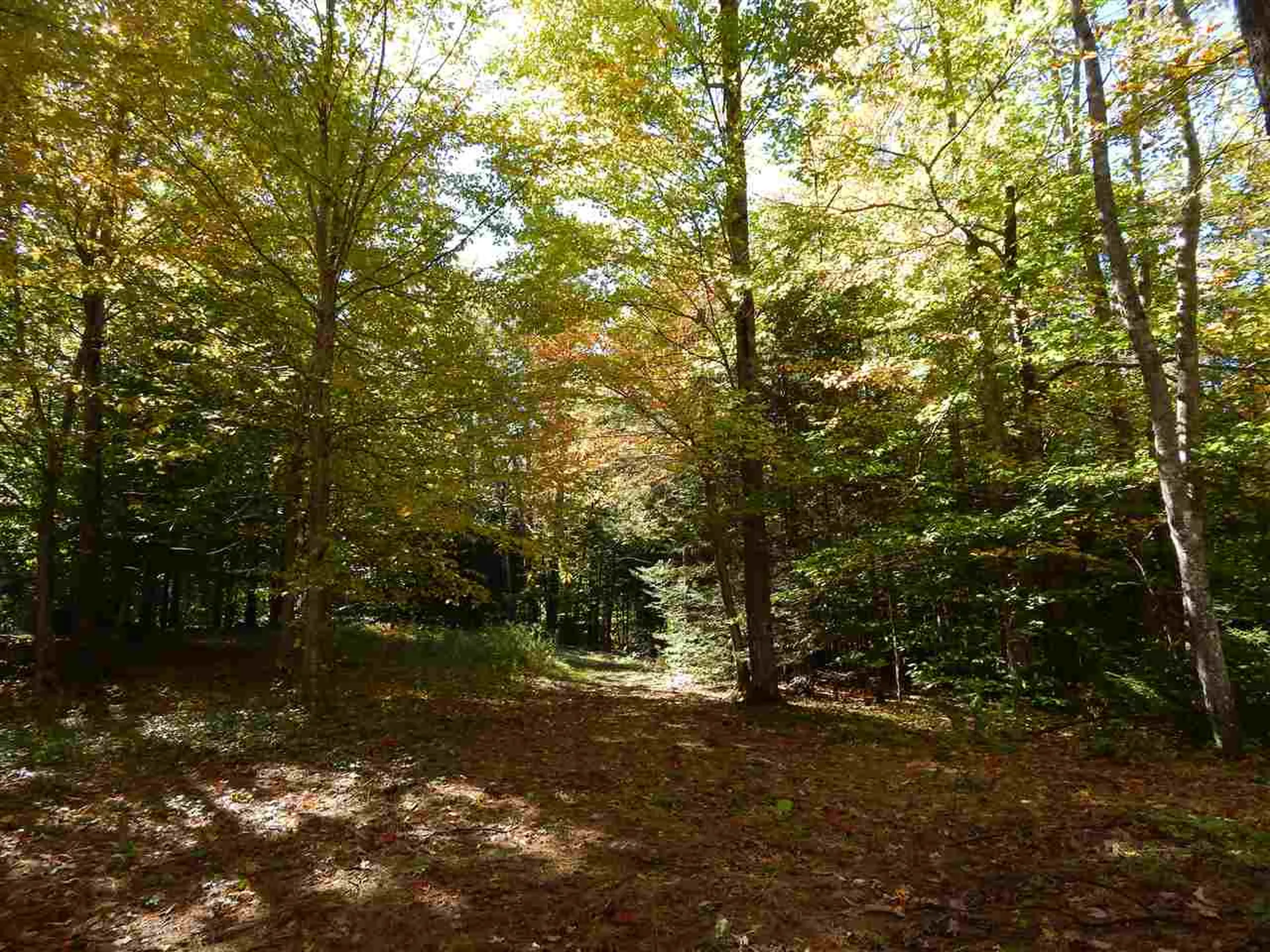 Lot 12 Chalk Pond Road Newbury NH 03255