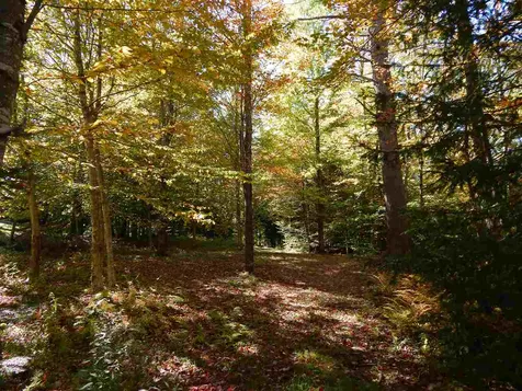 Lot 12 Chalk Pond Road Newbury NH 03255