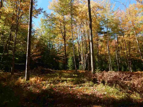 Lot 12 Chalk Pond Road Newbury NH 03255