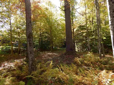 Lot 12 Chalk Pond Road Newbury NH 03255