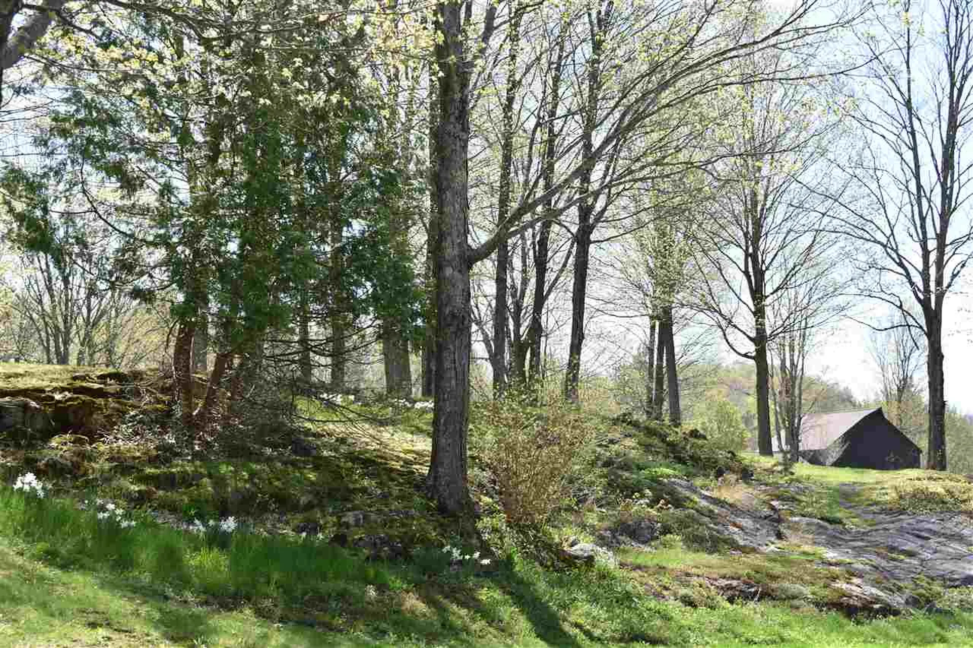 293 Mead Farm Road Hinesburg VT 05461