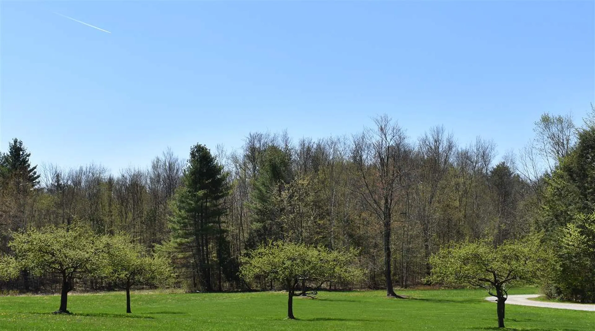 293 Mead Farm Road Hinesburg VT 05461