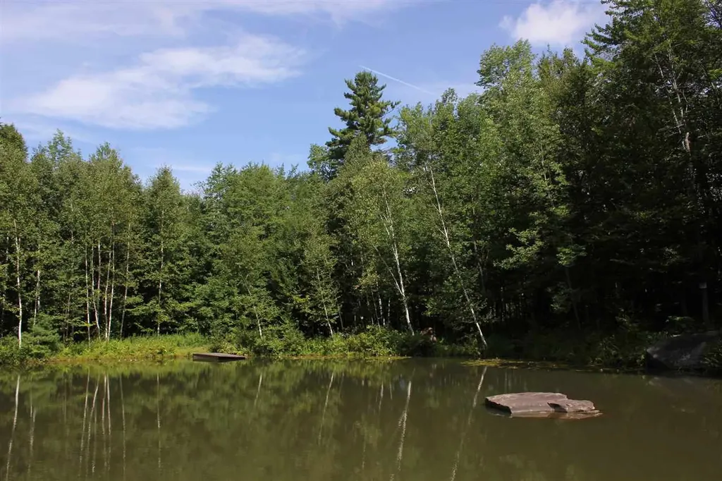 74 Obed Moore Road Weston VT 05161