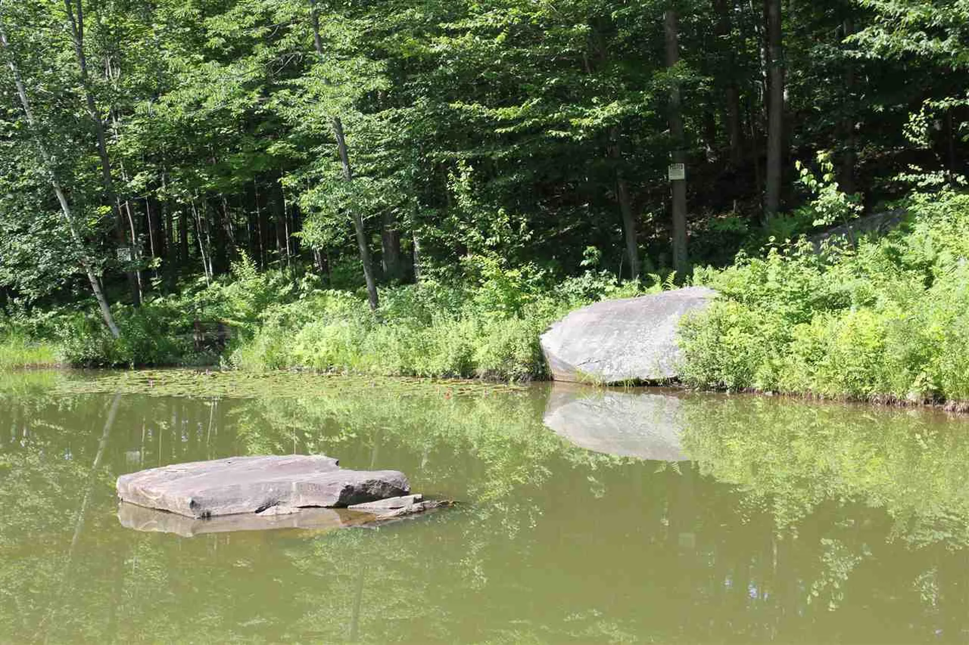 74 Obed Moore Road Weston VT 05161