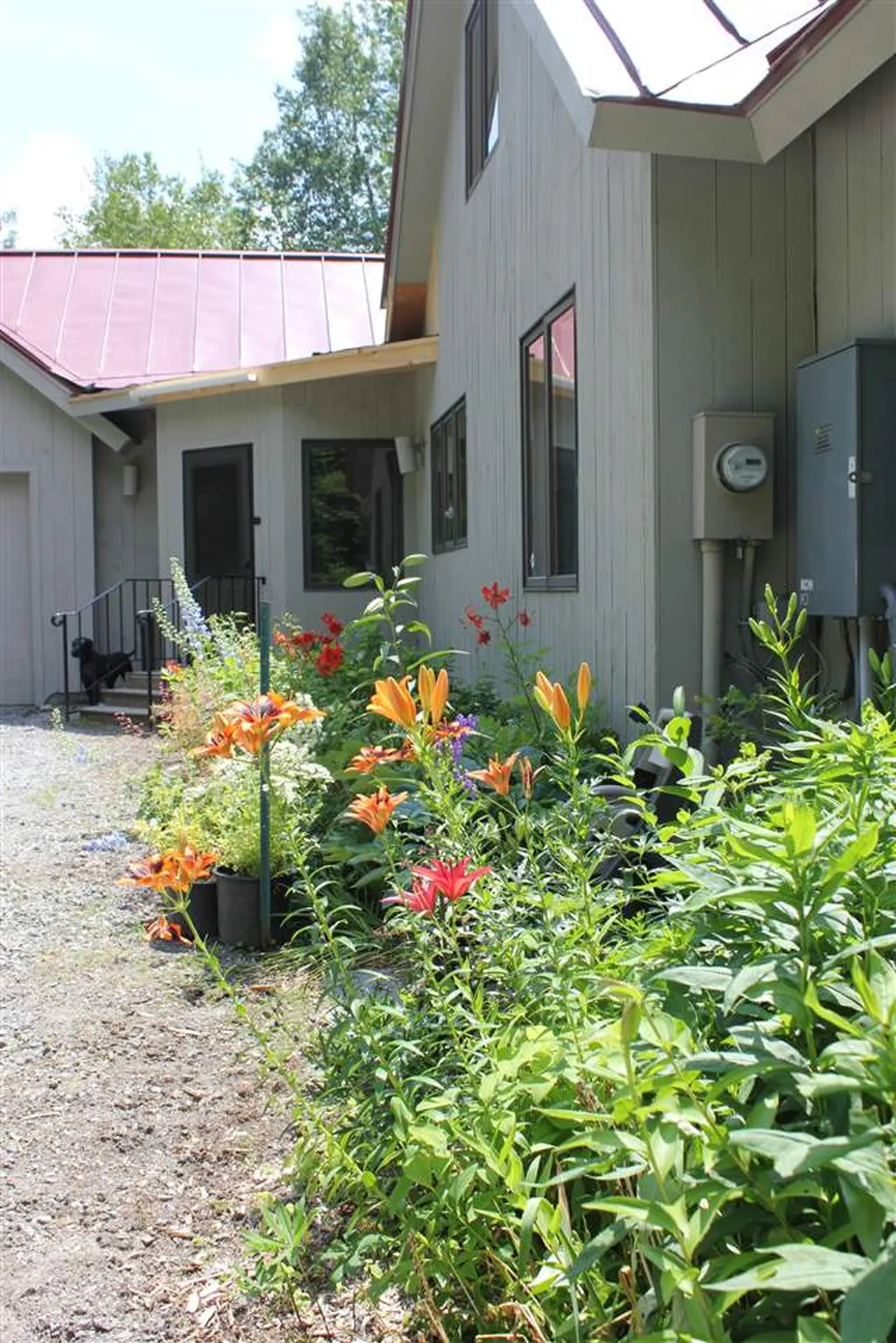 74 Obed Moore Road Weston VT 05161