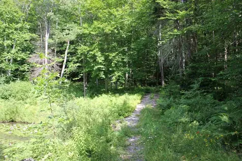 74 Obed Moore Road Weston VT 05161
