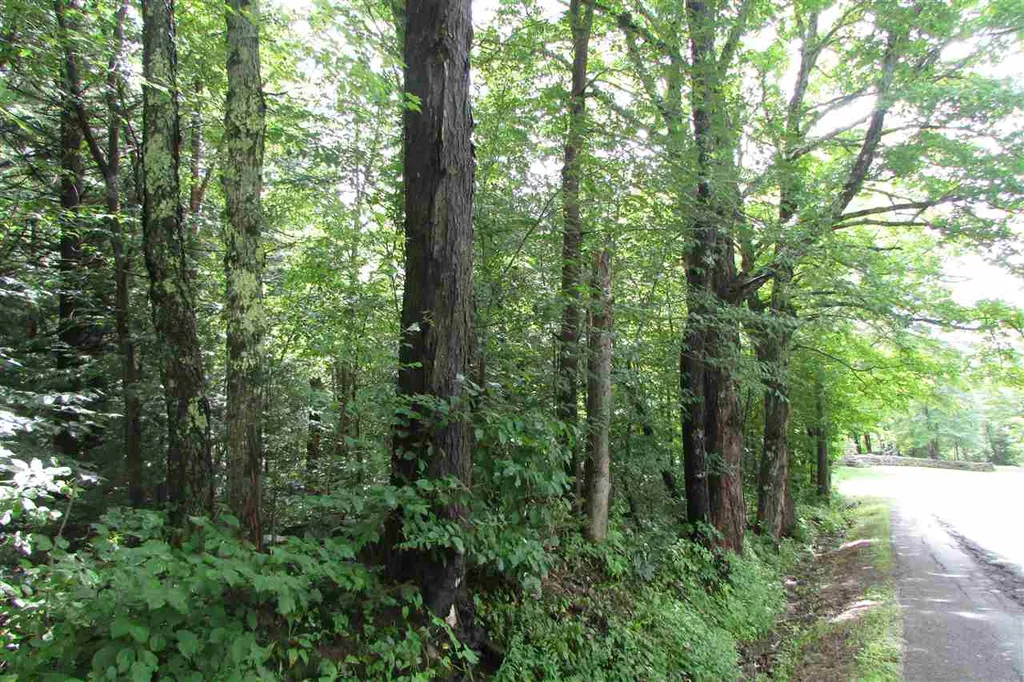 Smith Road Wilmington VT 05363