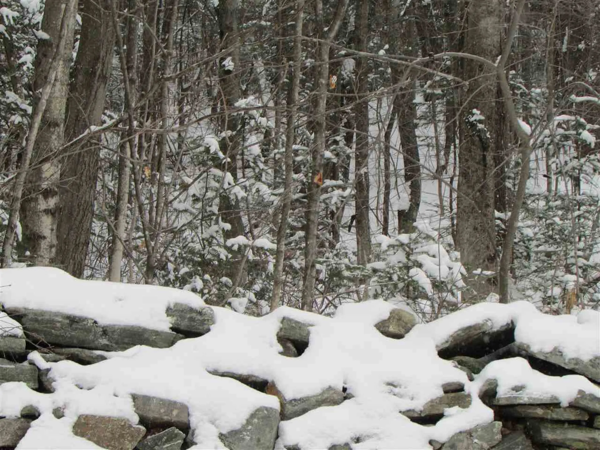 Smith Road Wilmington VT 05363