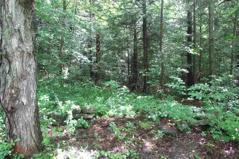 Smith Road Wilmington VT 05363