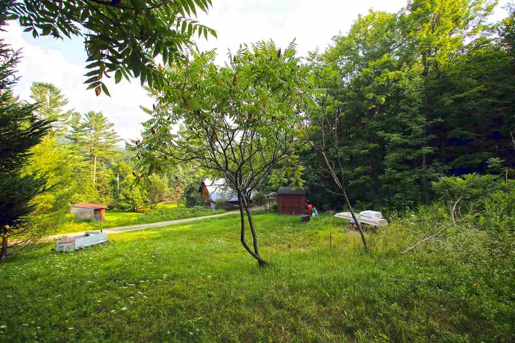 193 Curran Drive North Cambridge VT 05464
