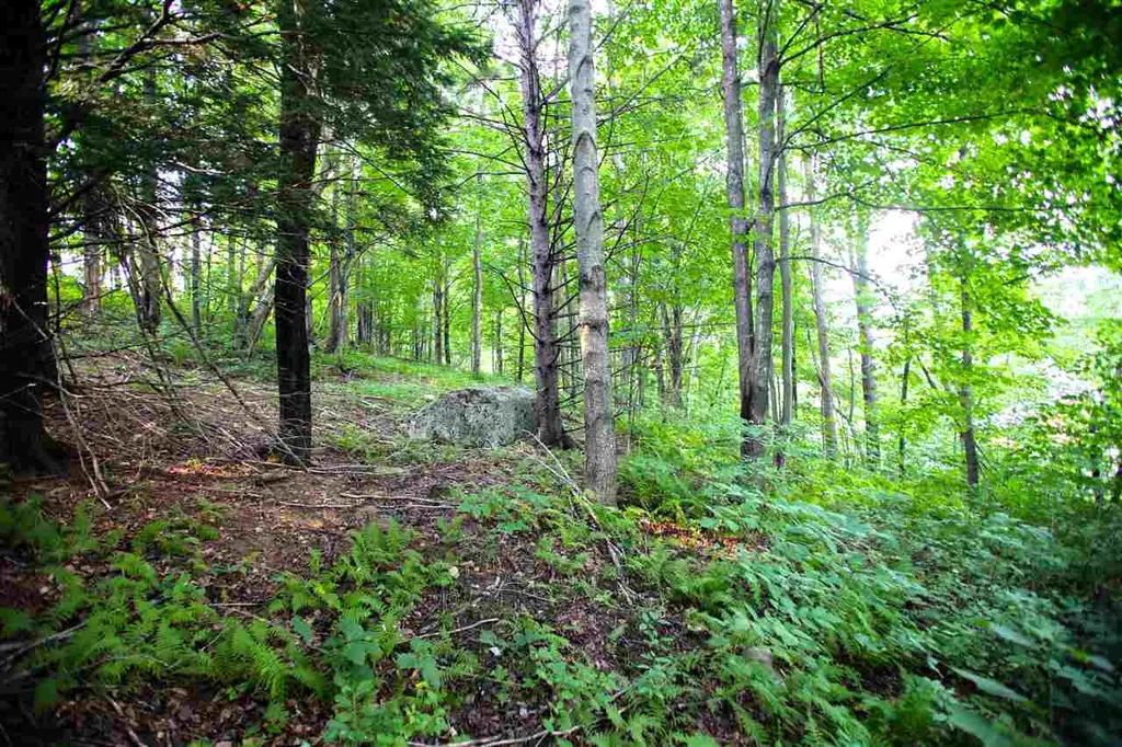 193 Curran Drive North Cambridge VT 05464