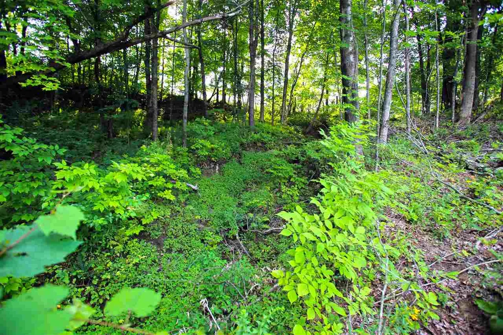 193 Curran Drive North Cambridge VT 05464