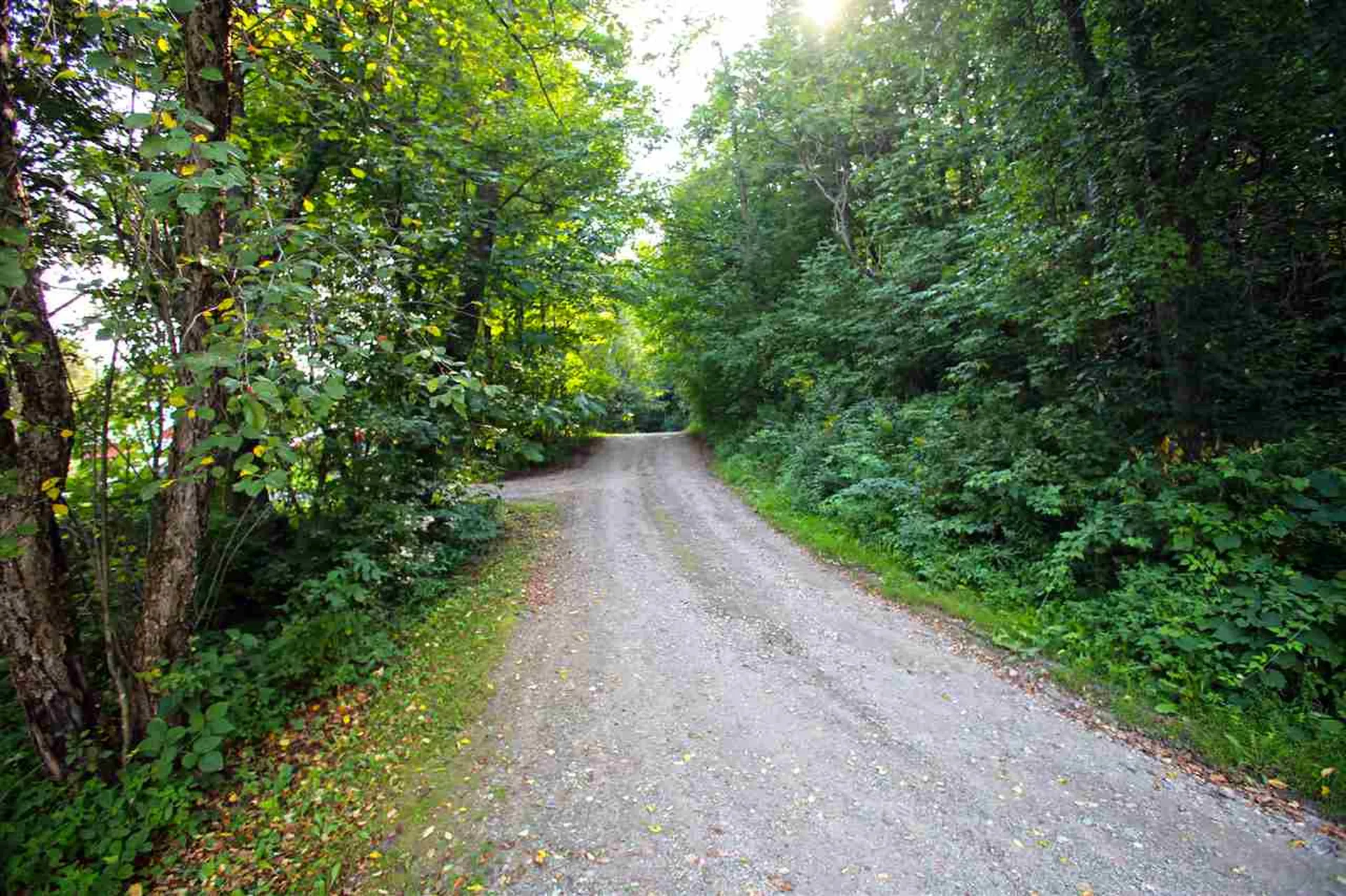 193 Curran Drive North Cambridge VT 05464