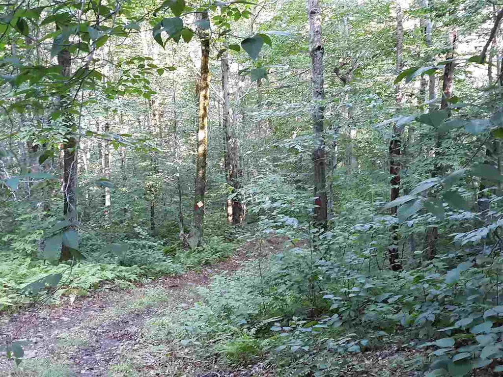 0 Andrea Drive Stamford VT 05352