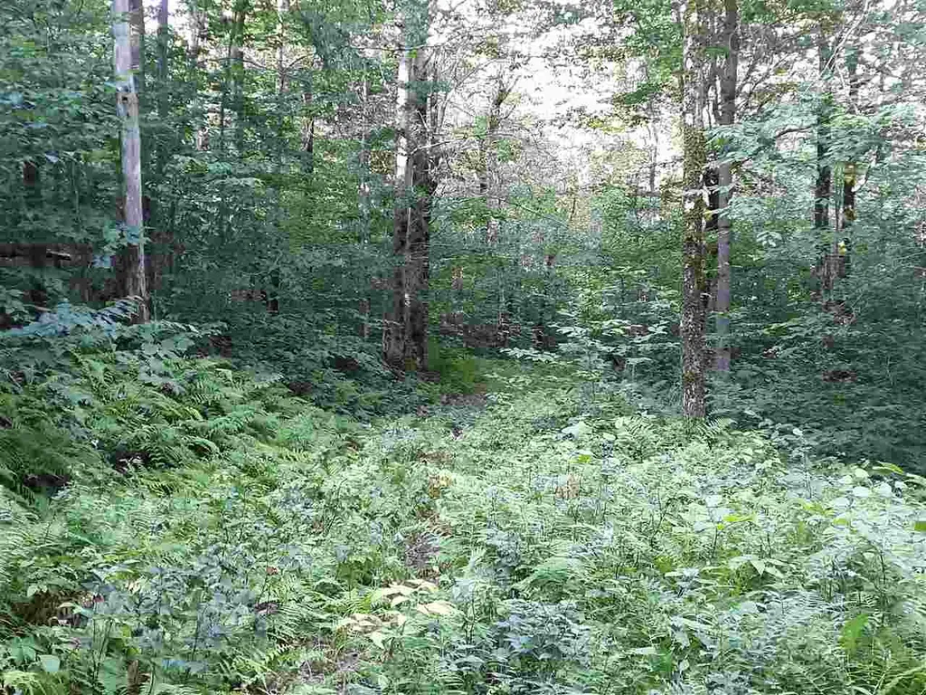 0 Andrea Drive Stamford VT 05352