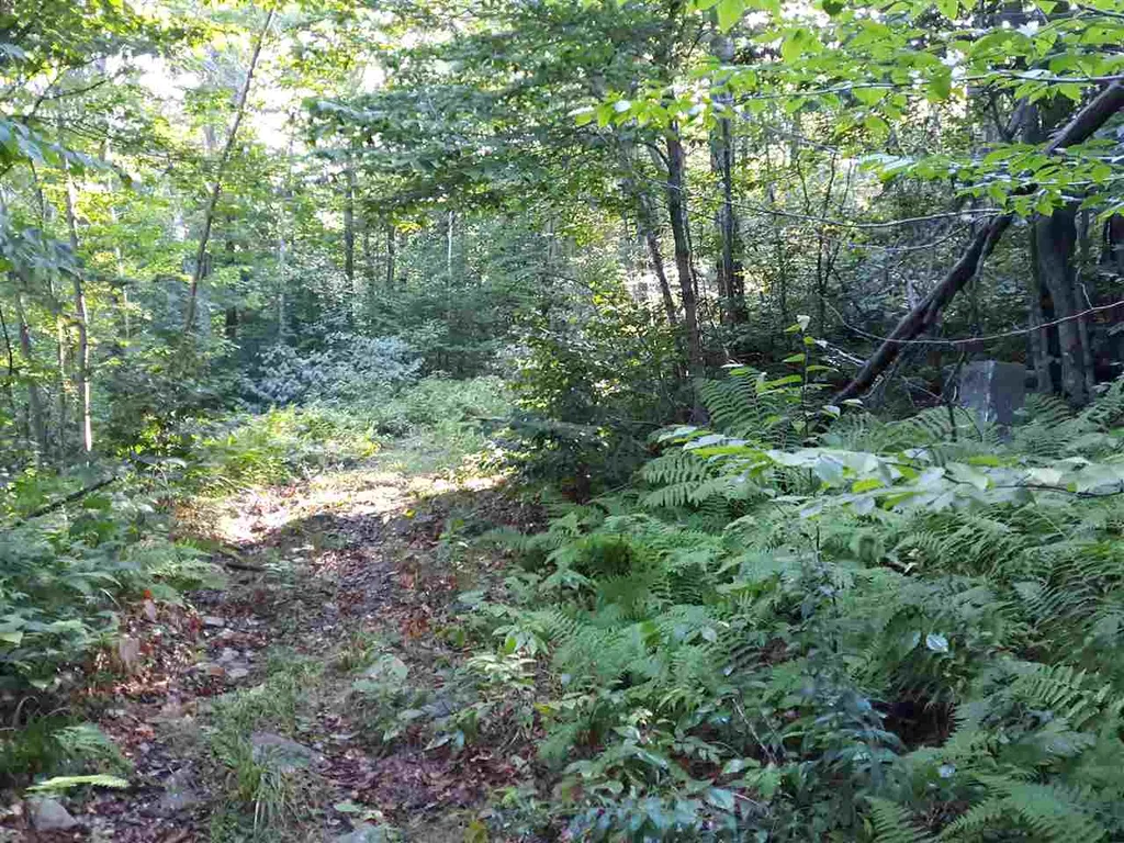 0 Andrea Drive Stamford VT 05352