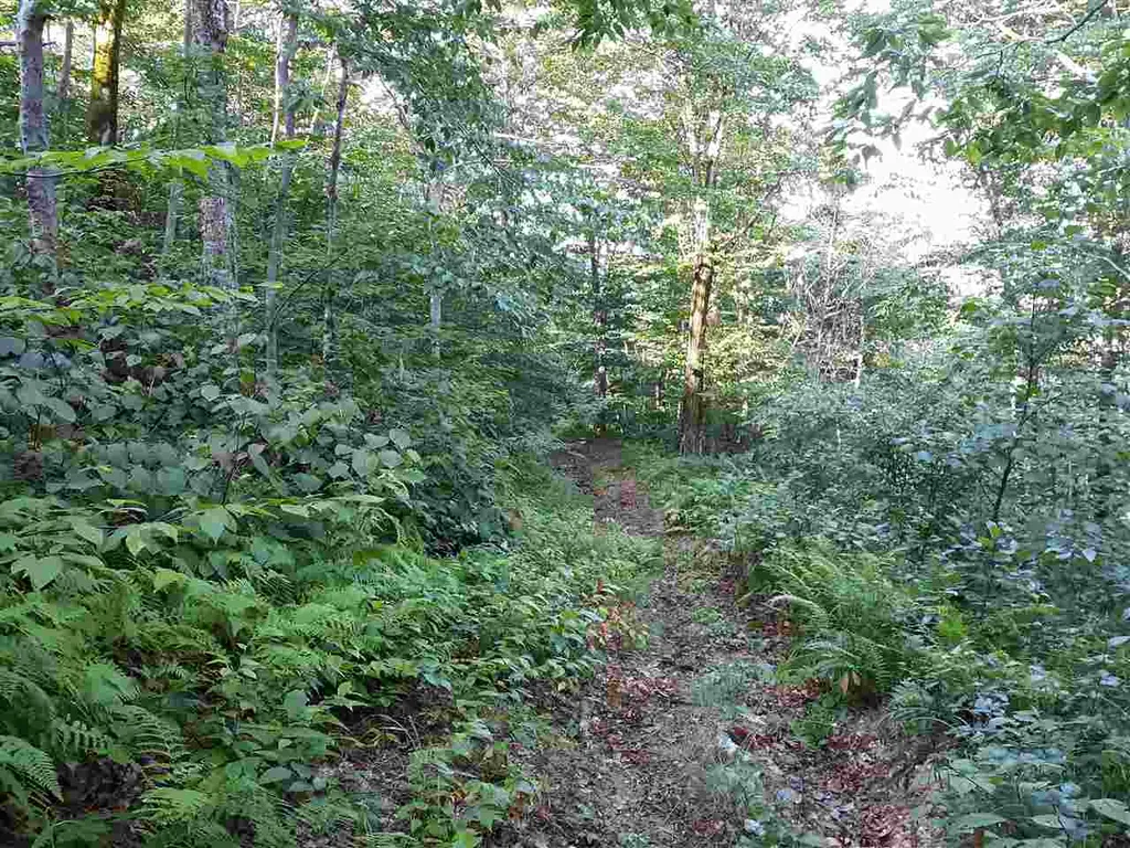 0 Andrea Drive Stamford VT 05352
