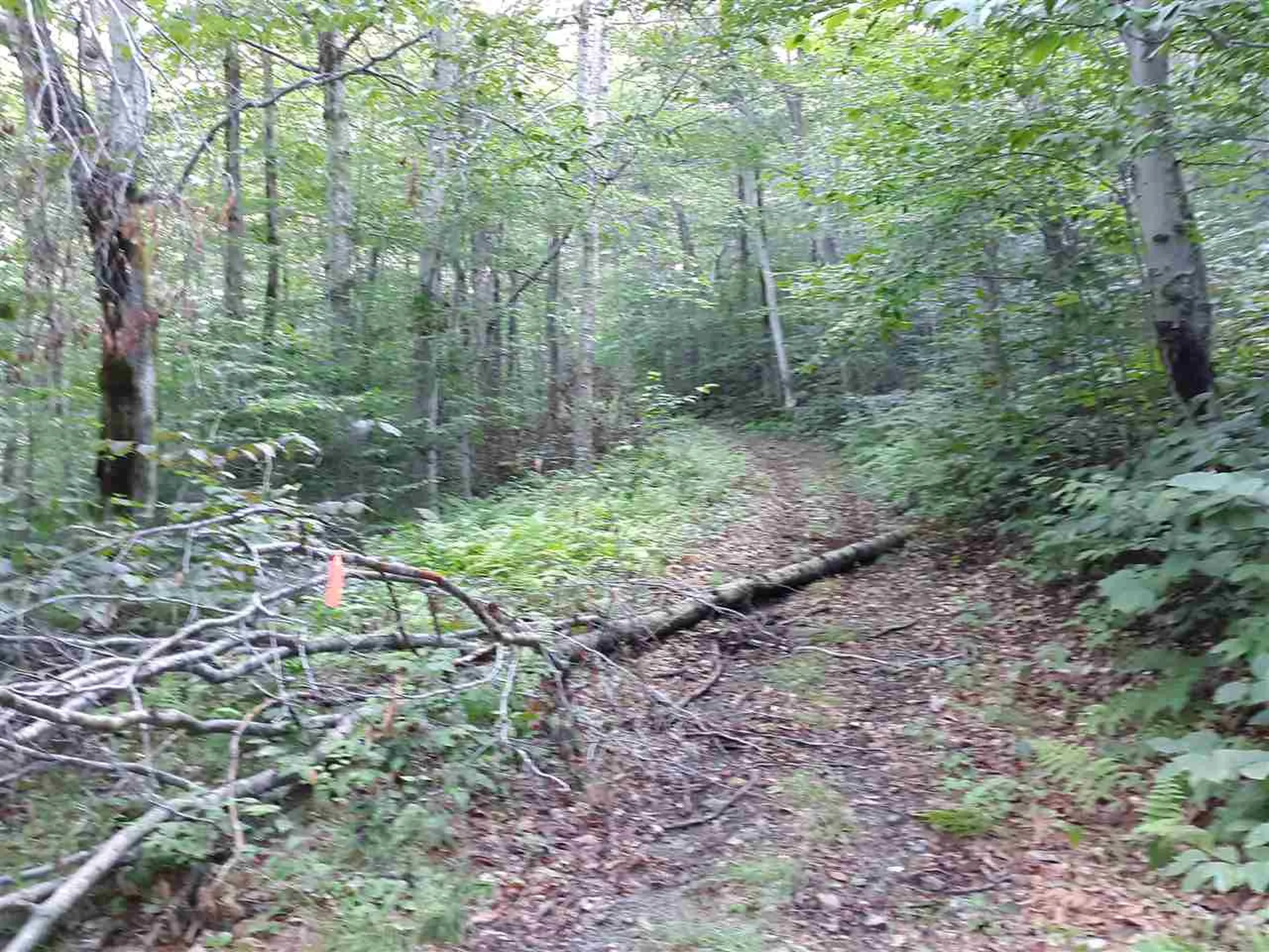 0 Andrea Drive Stamford VT 05352