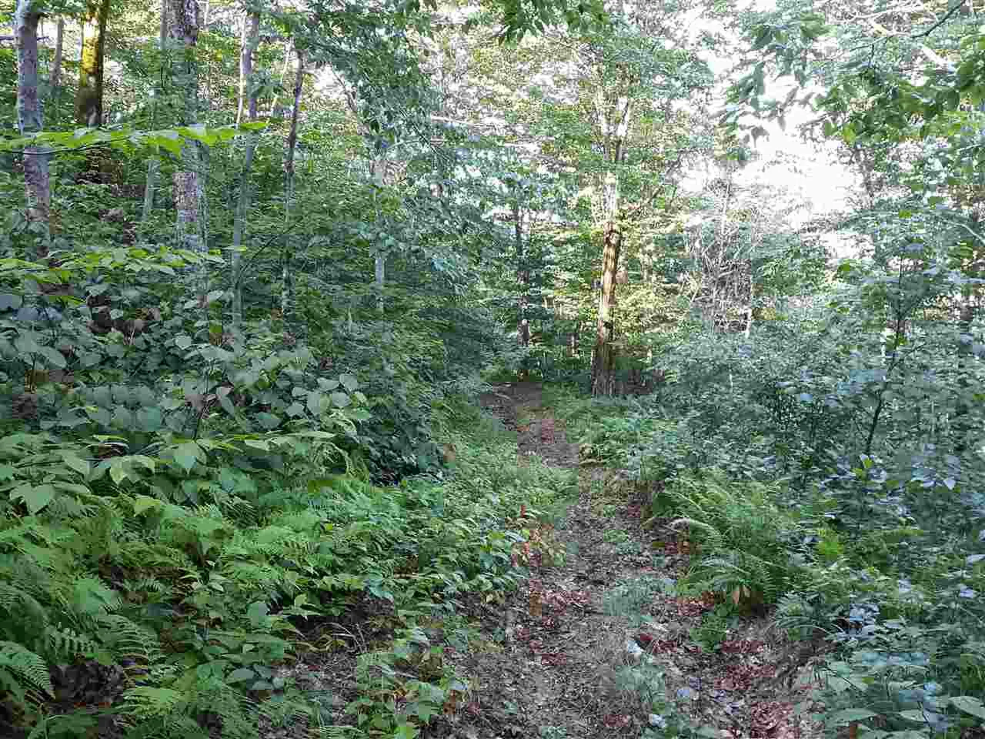0 Andrea Drive Stamford VT 05352