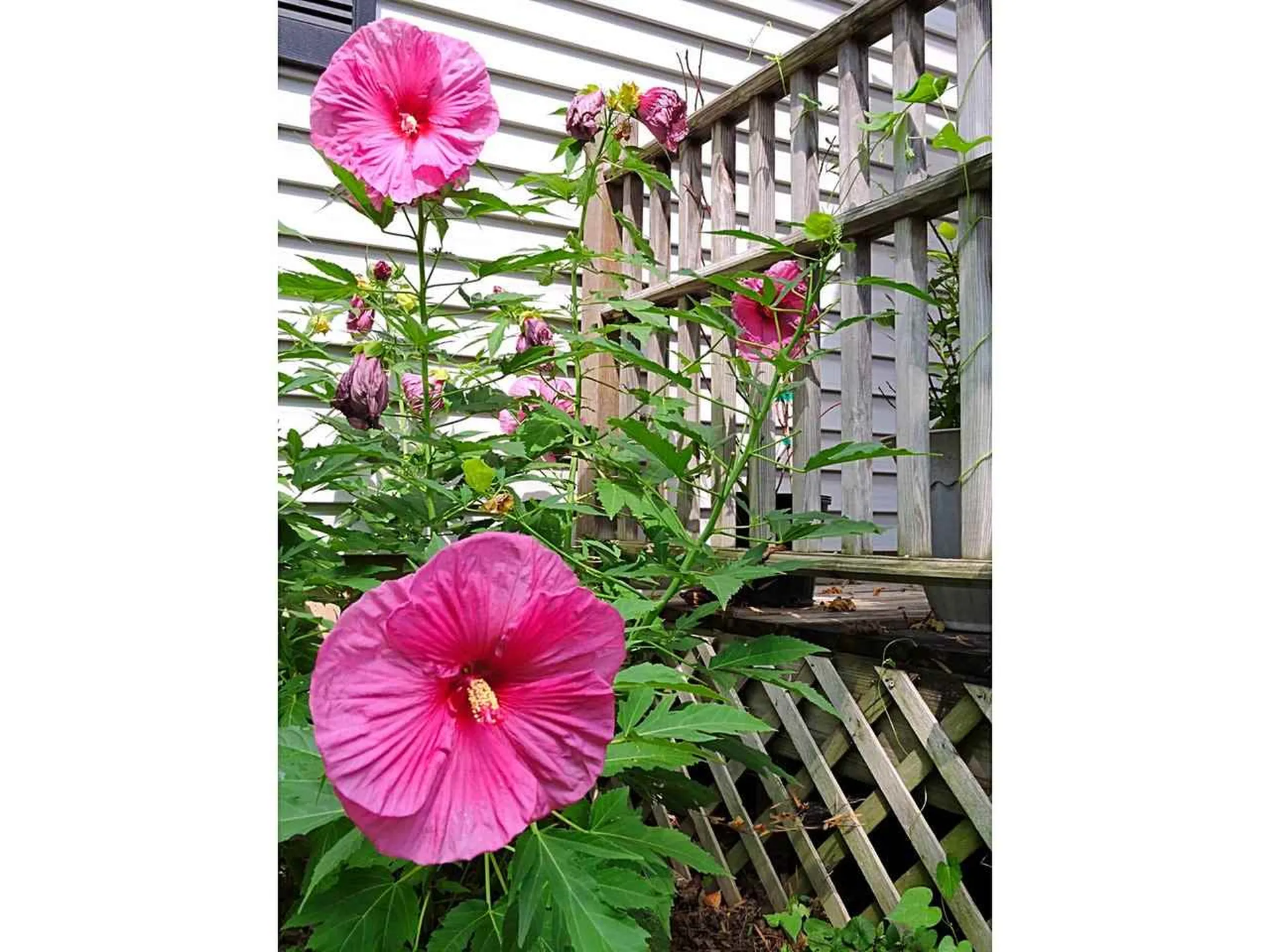 24 Meadow Lane Vergennes VT 05491