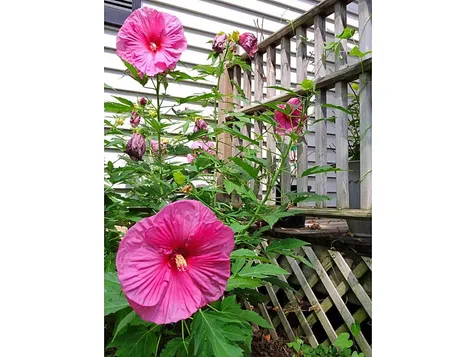 24 Meadow Lane Vergennes VT 05491