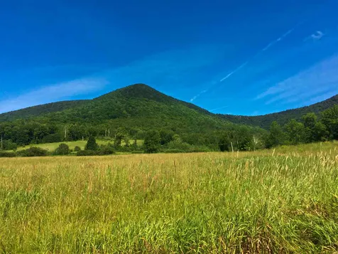 2028 Lower Hollow Road Dorset VT 05251