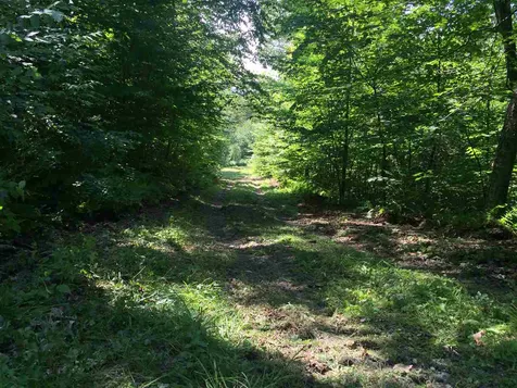 2028 Lower Hollow Road Dorset VT 05251