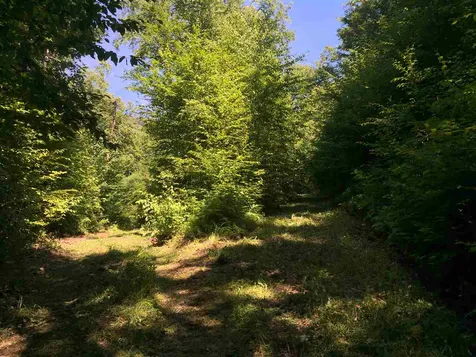 2028 Lower Hollow Road Dorset VT 05251