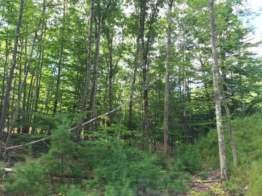 18 Applewood Way Kittery ME 03904