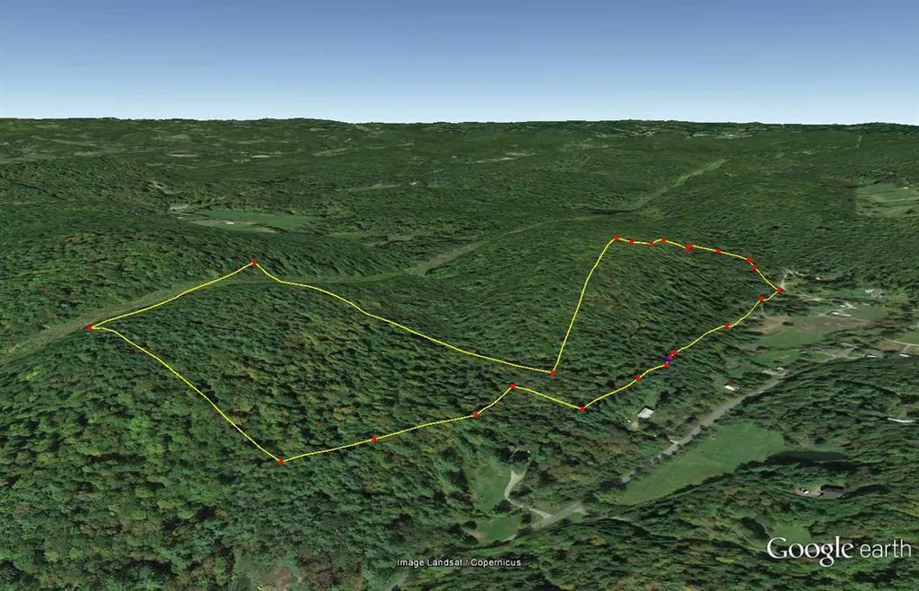 55 Jonesville Road Cornish NH 03745