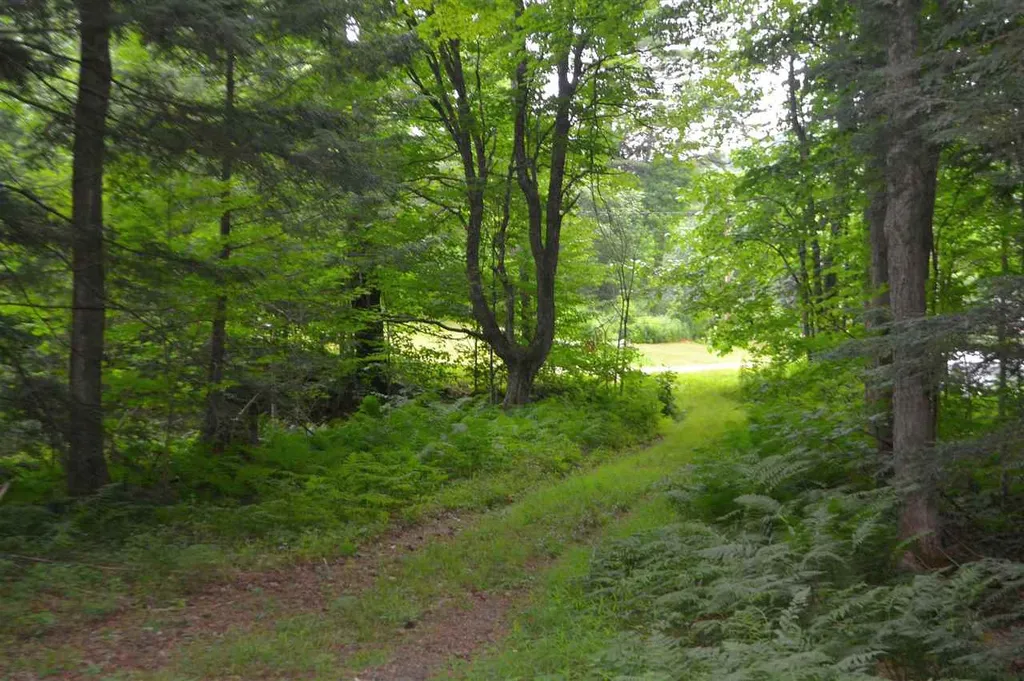55 Jonesville Road Cornish NH 03745