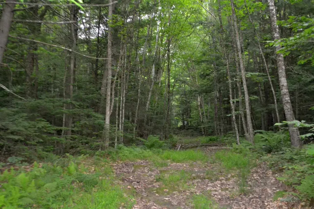 55 Jonesville Road Cornish NH 03745