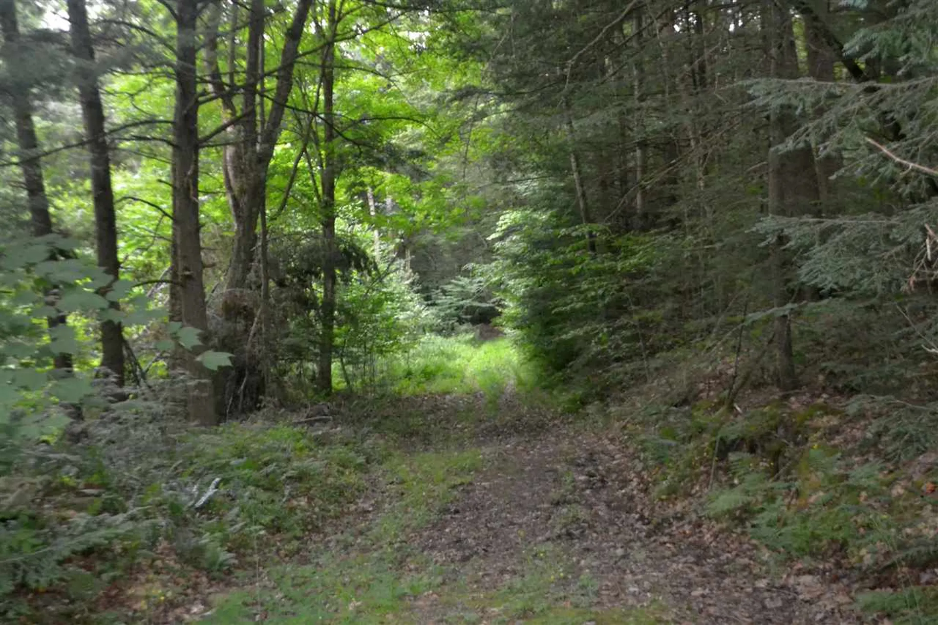55 Jonesville Road Cornish NH 03745