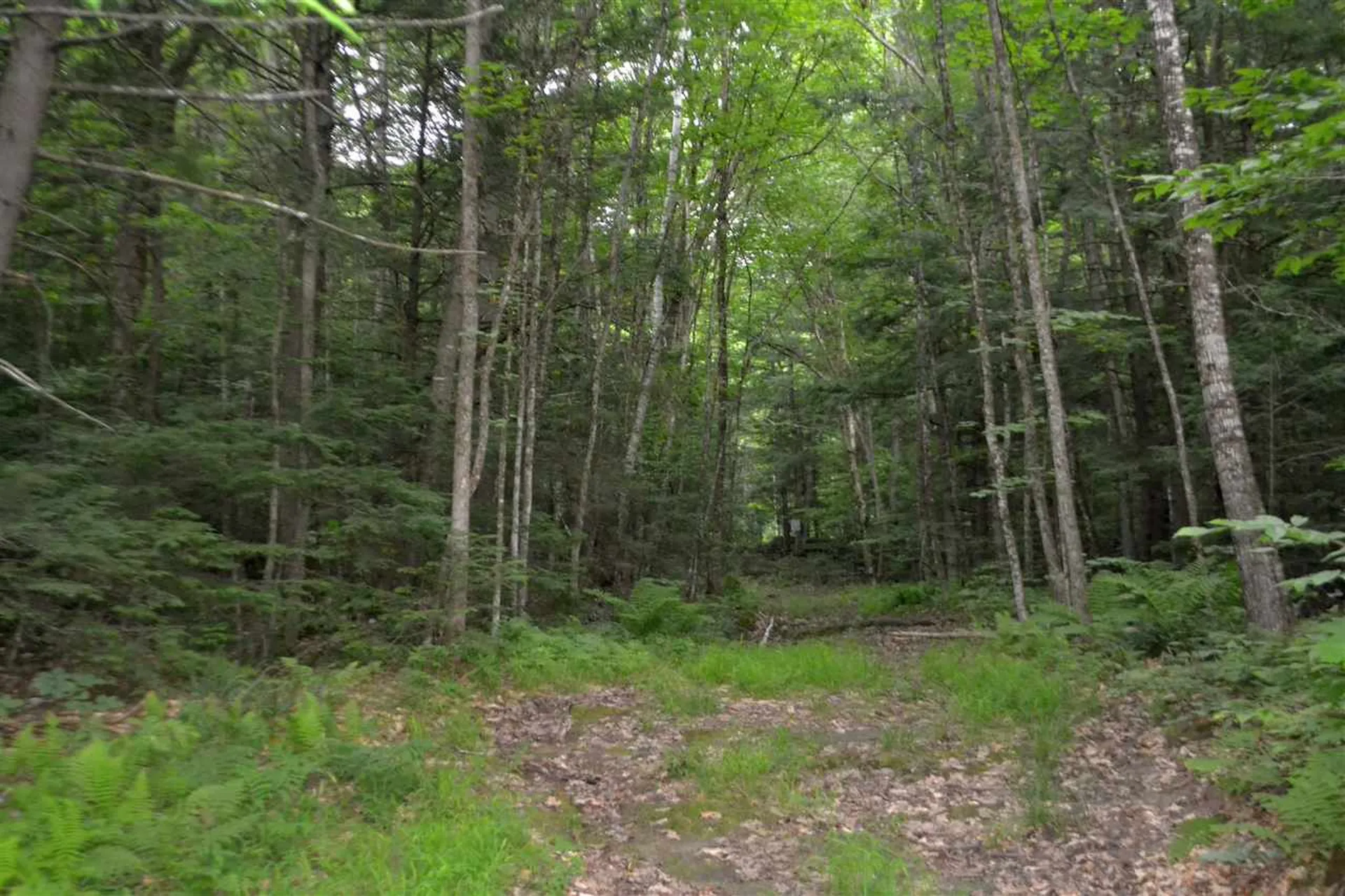 55 Jonesville Road Cornish NH 03745