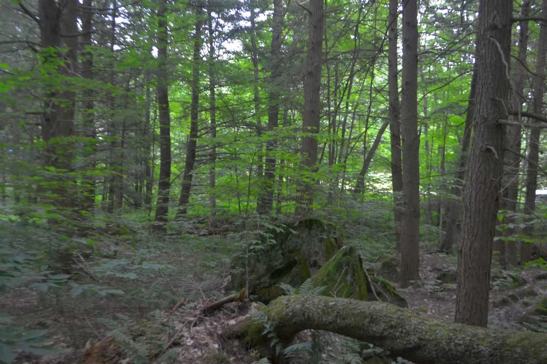 55 Jonesville Road Cornish NH 03745