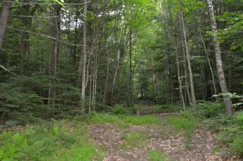 55 Jonesville Road Cornish NH 03745