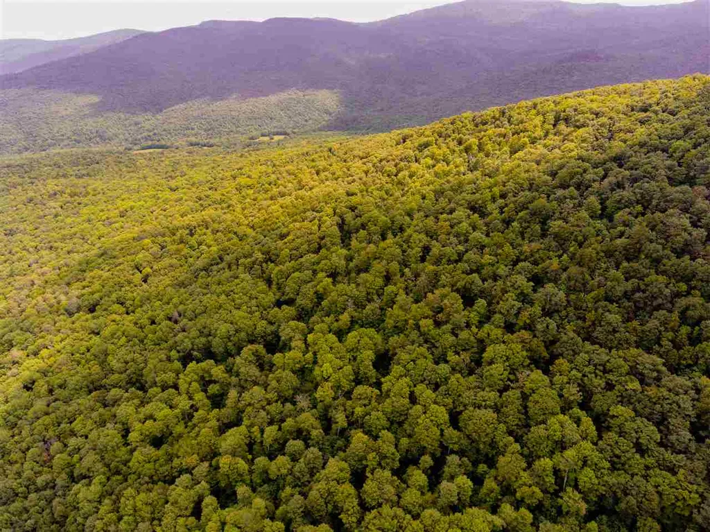 00 Brownsville Road Stowe VT 05672