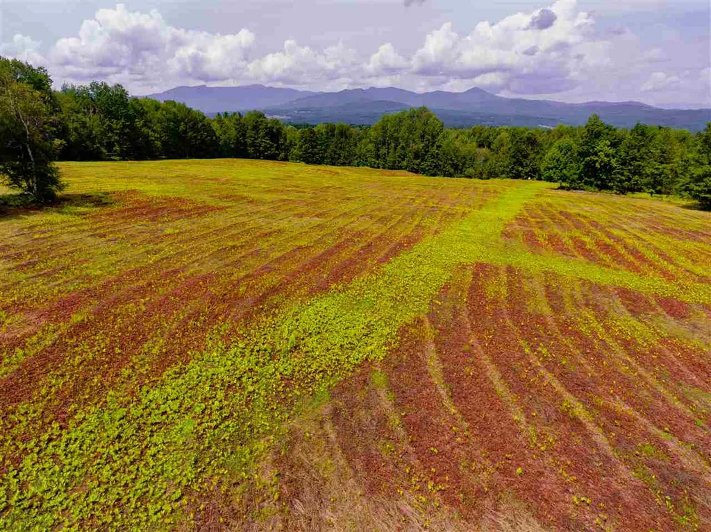 00 Brownsville Road Stowe VT 05672