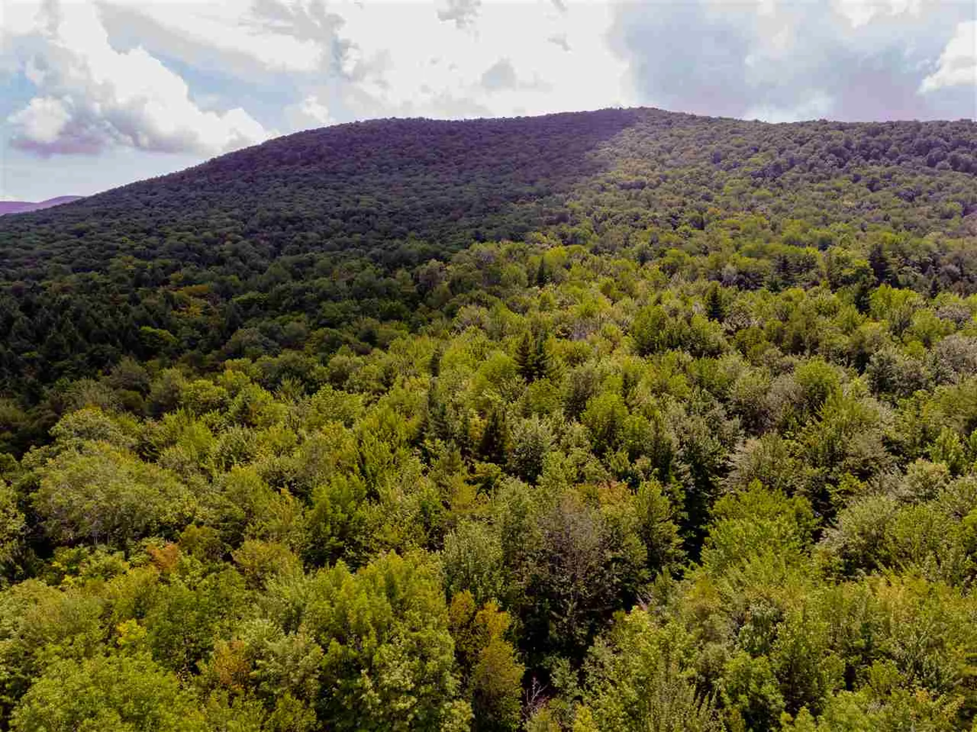 00 Brownsville Road Stowe VT 05672