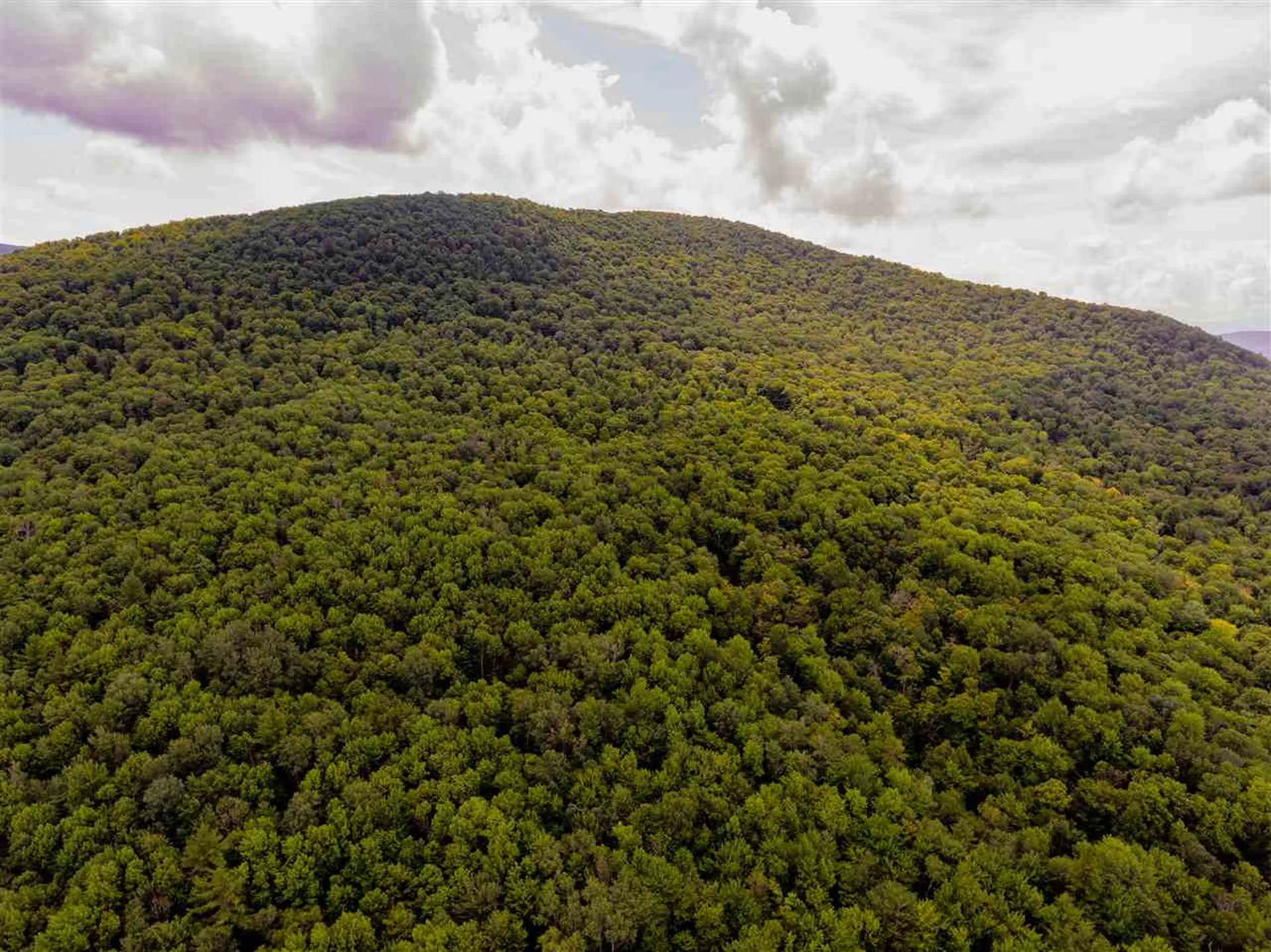 00 Brownsville Road Stowe VT 05672