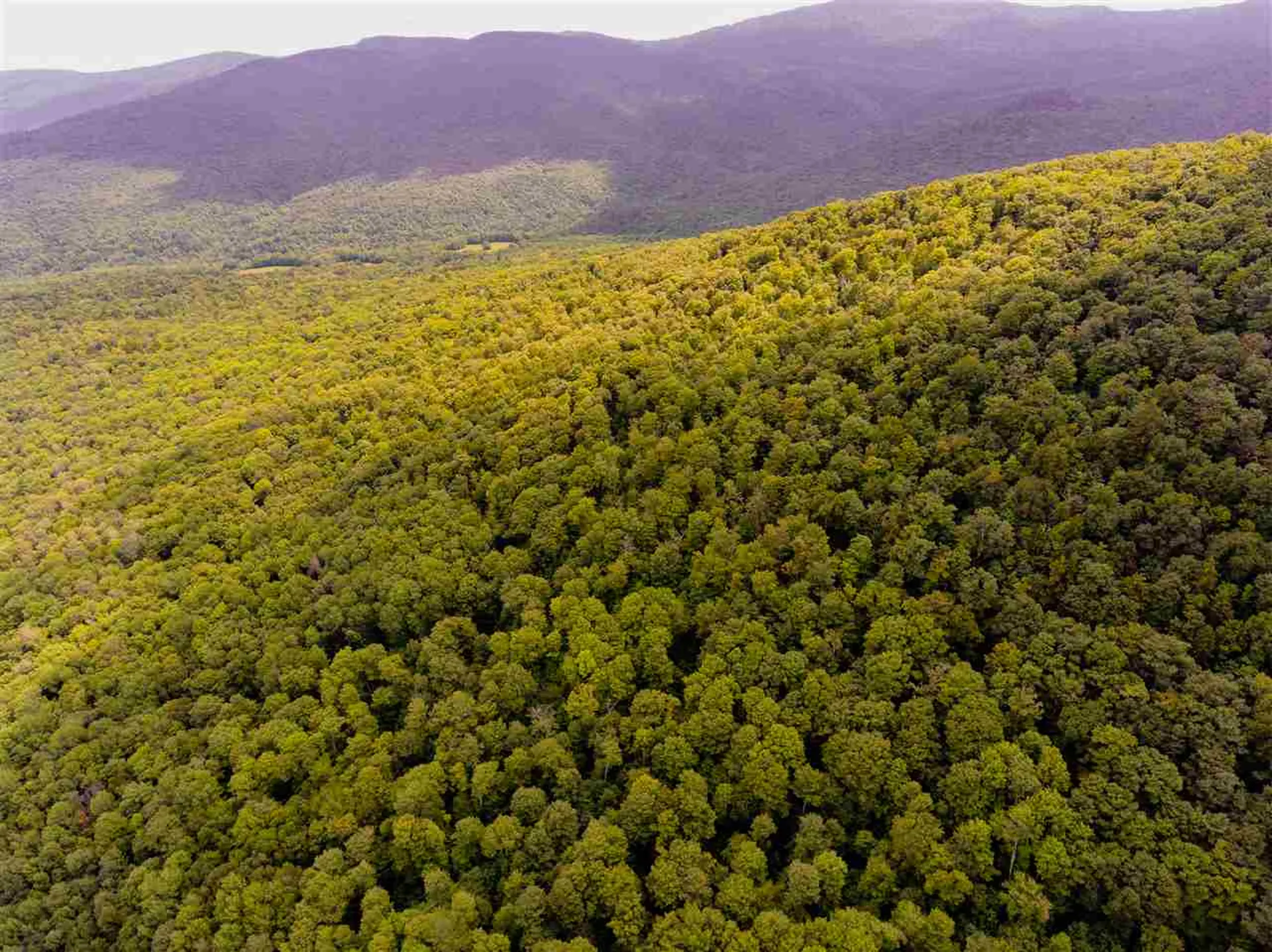 00 Brownsville Road Stowe VT 05672